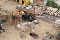 Refugio Para Animales Karla Chacón
